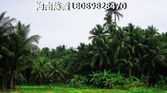 临高房产还会生纸吗？碧桂园·小城之春二手房收益怎么样~