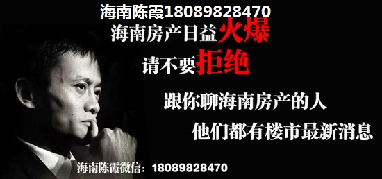 临高房子合适买吗