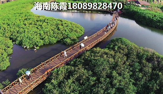 临高房价现在是多少钱? 临高房价现在是多少钱?